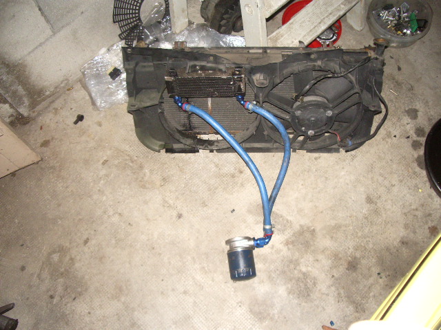 IMGP1183.JPG