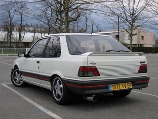 309 GTI (Ar-G)-1.JPG