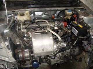 IMGP0386.JPG