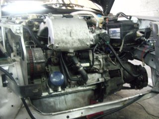 IMGP0385.JPG