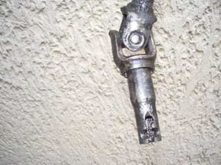 IMGP0693.JPG