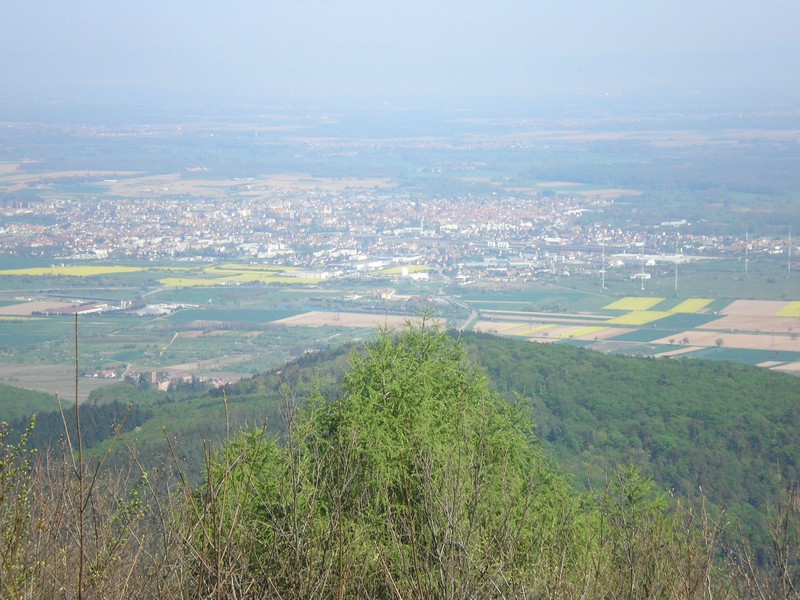 Petite vu simpa de la plaine d'alsace.