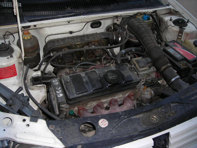 DSCN0721.JPG