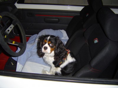 le pilote!!