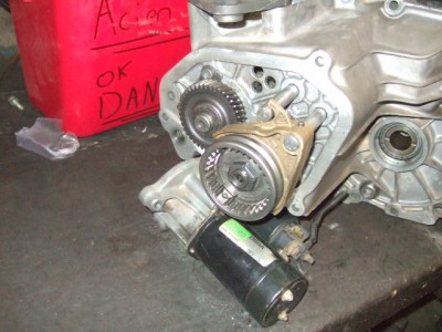 bv 3.JPG