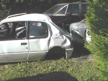 rally5.jpg