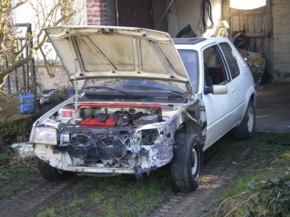 IMGP0037.JPG