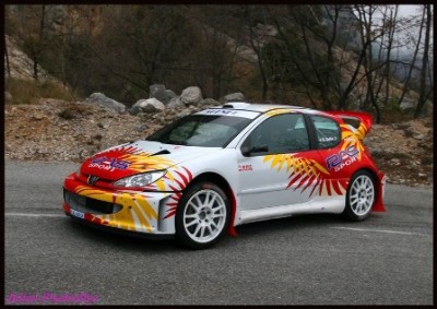 206 WRC.jpg