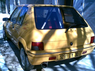 LEMON TONIC 3-4 BACK G.jpg