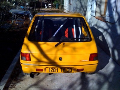 lemon TIBO2.jpg