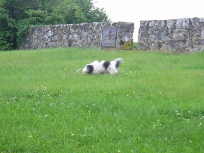 DSCN3153.JPG