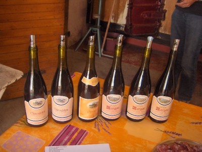 Concentre en Beaujolais Juin 2008 198.jpg