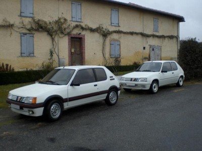 ludo0172.JPG