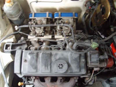 S5001384.JPG
