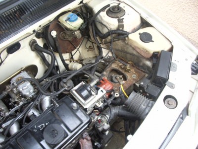 IMGP8711.JPG