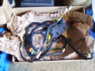 PICT0197bis.jpg