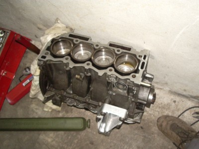 IMGP8828.JPG