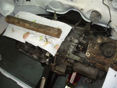 IMGP8829.JPG