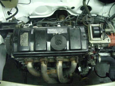 IMGP8867.JPG