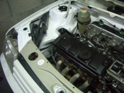 IMGP8883.JPG