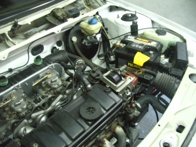 IMGP8885.JPG