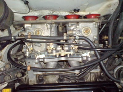 DSC00447.JPG