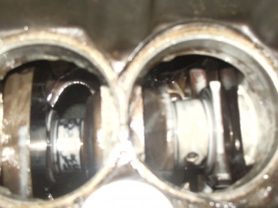 IMGP8914.JPG
