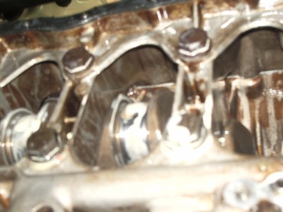IMGP8917.JPG