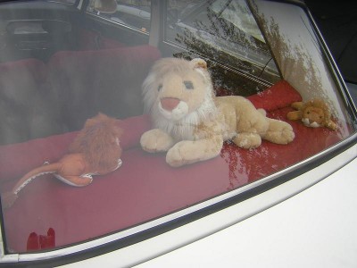 DSCN4158.JPG