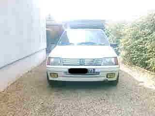 IMG028.JPG