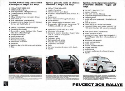 205rallyesuisseface.jpg