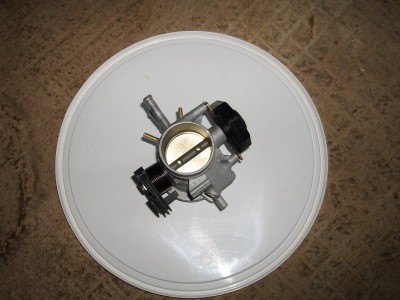 papillon gti fin 2.JPG