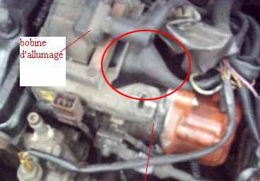 205gr1446yl5.jpg