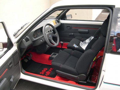 Volant cuir et Tapis sérigraphés (2).JPG