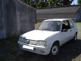 DSC04201.GIF