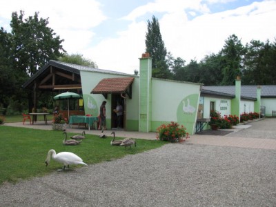 rencontre 2009 002.jpg