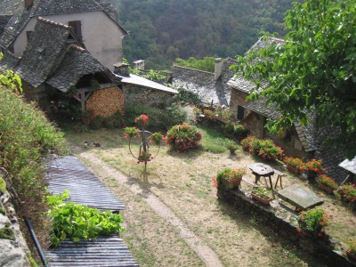 IMG_7375.JPG