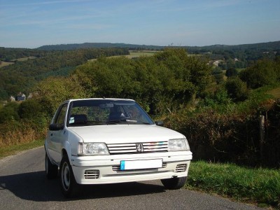 029 - Copie.JPG
