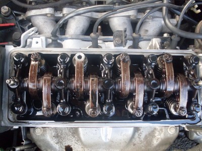 mini-SDC12942.JPG