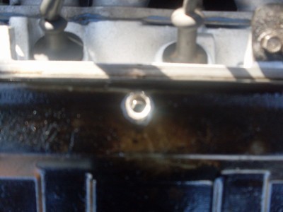 mini-SDC12948.JPG