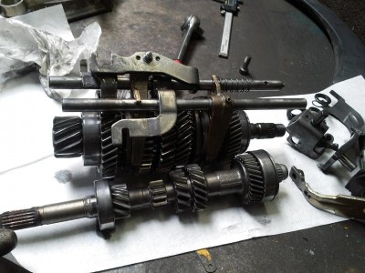 P1.JPG