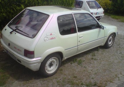 205 nacrée et 89.JPG