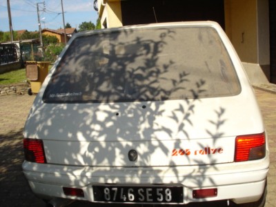 DSC08101.JPG