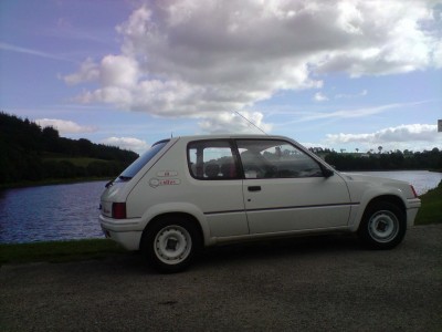 205 rallye pélinec 2010 aout.JPG
