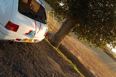 elle tente la dissimulation mais l'arbre est trop petit...