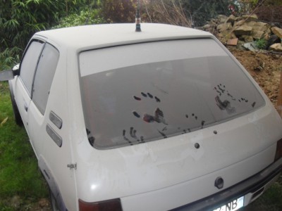 SDC13244.jpg