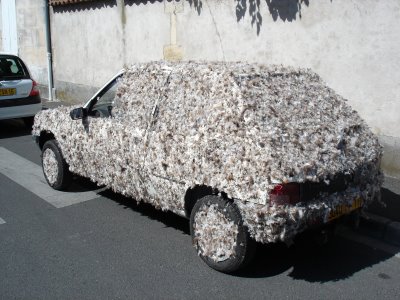 du goudron et des plumes.JPG