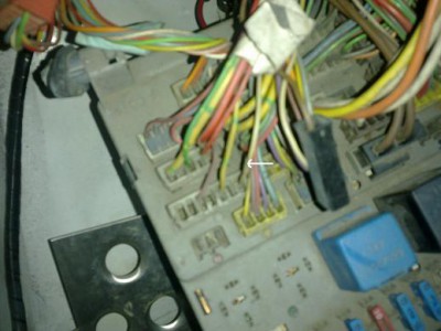 13062011230 fofo.jpg