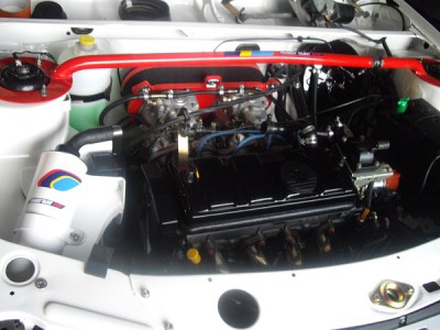 IMGP4513.JPG
