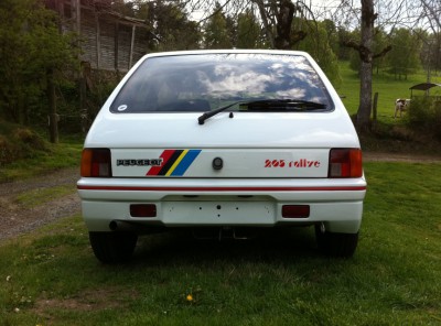 205 rallye1.jpg